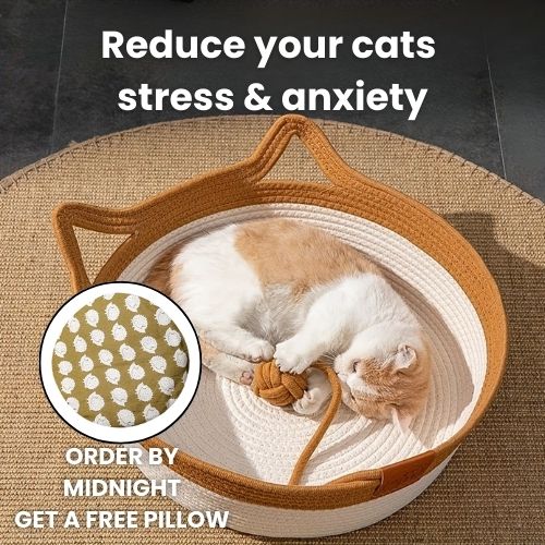 Porogue - Handwoven Cotton Rope Cat Bed