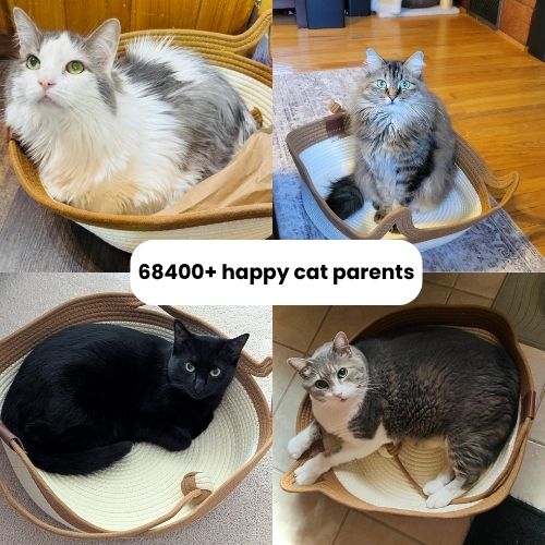 Porogue - Handwoven Cotton Rope Cat Bed